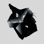 Men Two- piece jogger set image 2